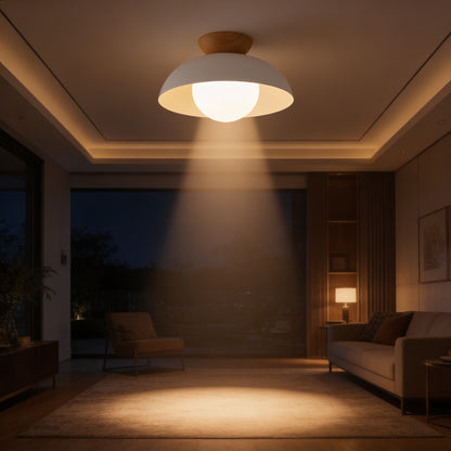 AURO Kupoli | Iron Dome & Wood Ceiling Light