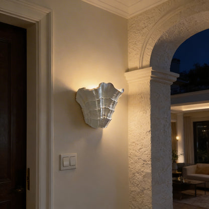 AURO Conque | Sculptural Gypsum Shell Wall Sconce