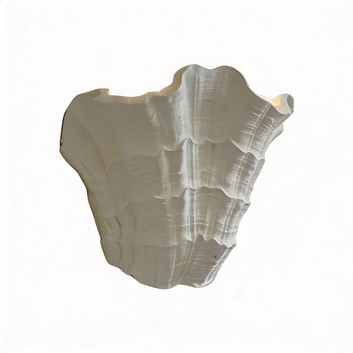 AURO Conque | Sculptural Gypsum Shell Wall Sconce
